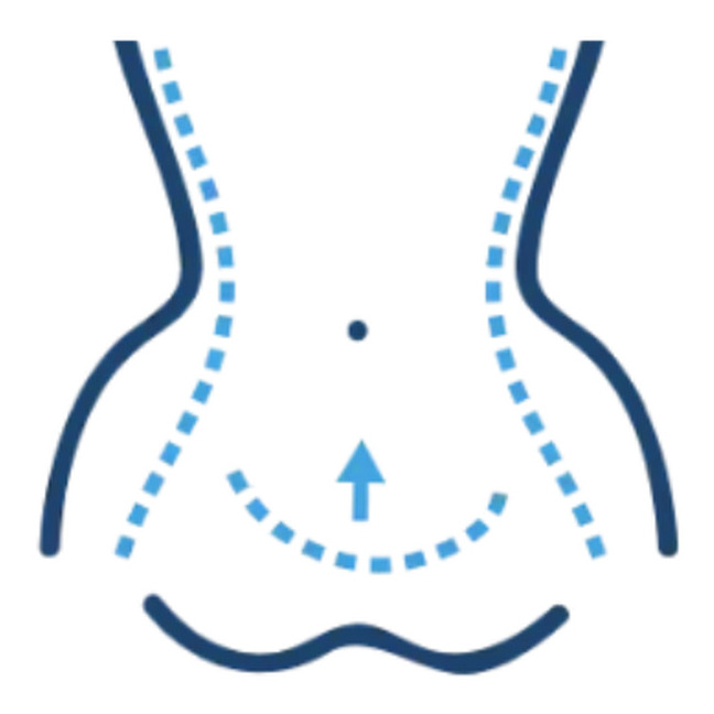 Body icon